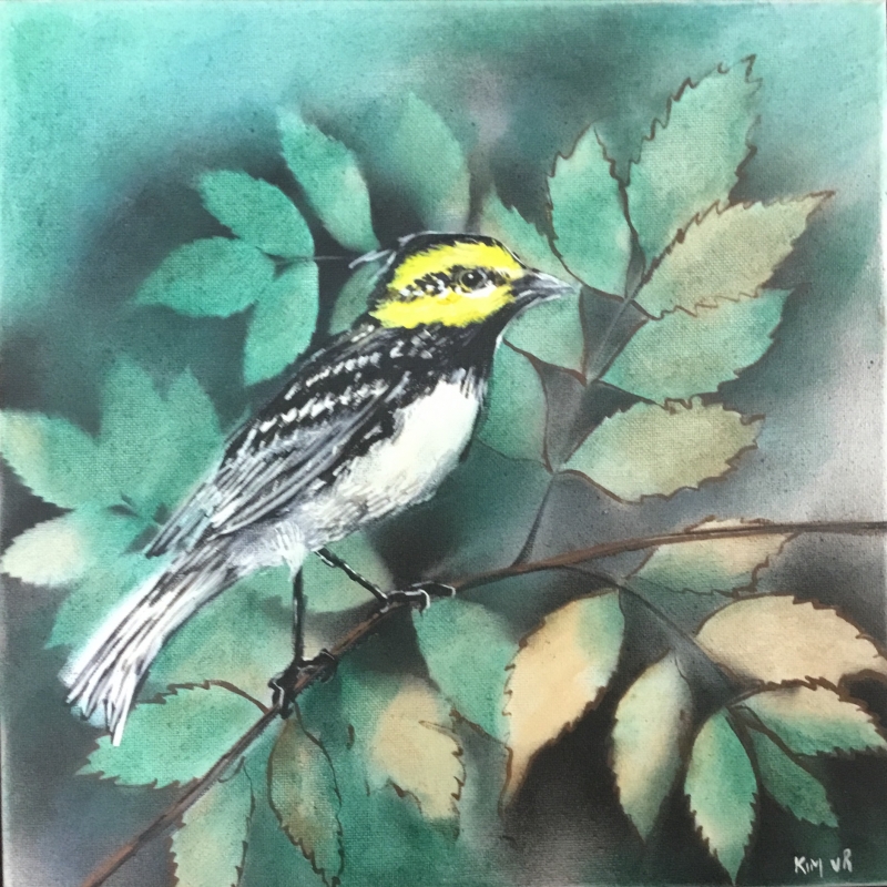 Golden-cheeked Warbler by artist Kim van Rijswijck